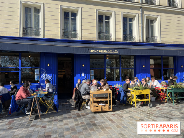 Moncœur Belleville - Terrasse vue Paris