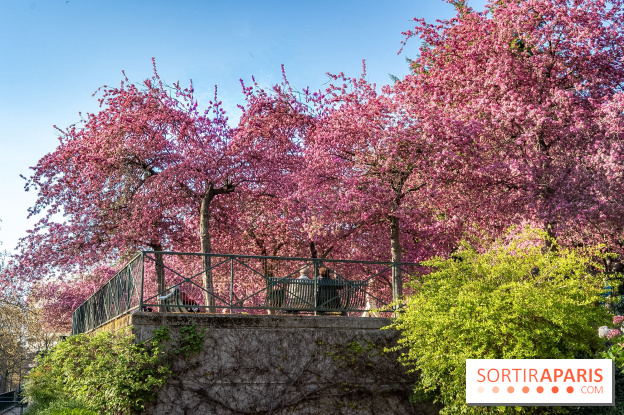 Les pommiers et cerisiers en fleurs du Jardin de Reuilly, Parc de Reuilly à Paris 12e - photos
