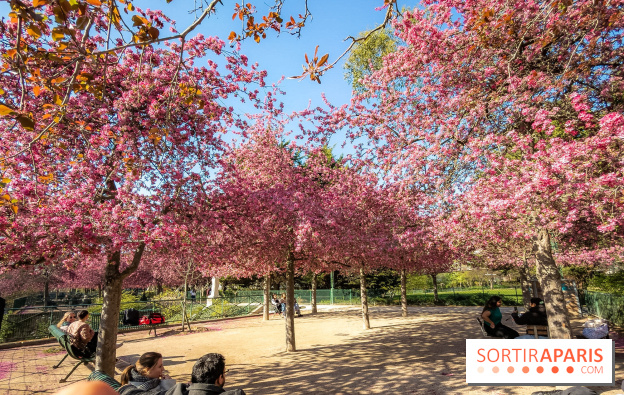 Les pommiers et cerisiers en fleurs du Jardin de Reuilly, Parc de Reuilly à Paris 12e - photos - bosquet