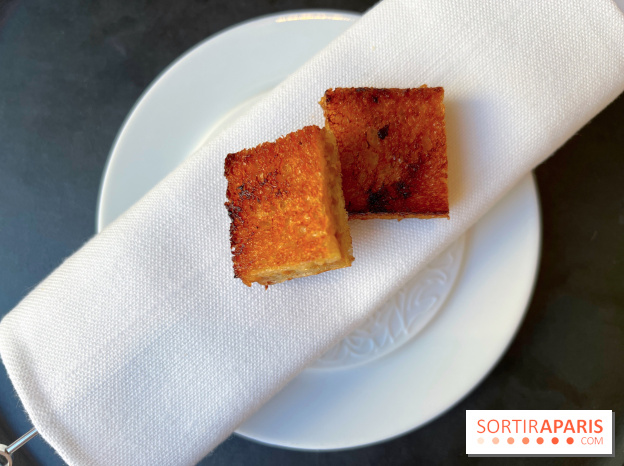 Alliance - Croque aux barbes de Saint-Jacques