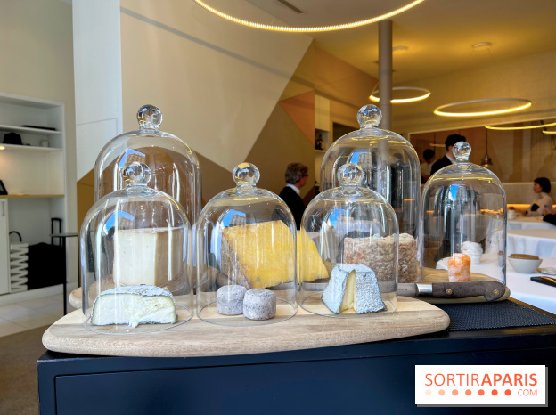 Alliance - Crottin cendré, Vermenton, Langres, Fourme d'Ambert, Laguiole, tomme de brebis