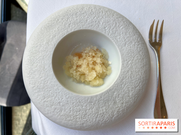 Alliance - Pré-dessert autour de l'agrume, bergamote, granité de bière blanche et citron 