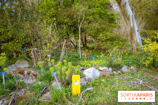 Le jardin botanique de Launay et arboretum de l'Université Paris Saclay à Orsay - les photos - A7C09556