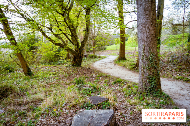 Le jardin botanique de Launay et arboretum de l'Université Paris Saclay à Orsay - les photos - A7C09560