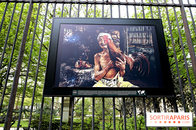 Fragilités & Résiliences, nos photos de l'expo dévoilée sur les grilles du Jardin du Luxembourg