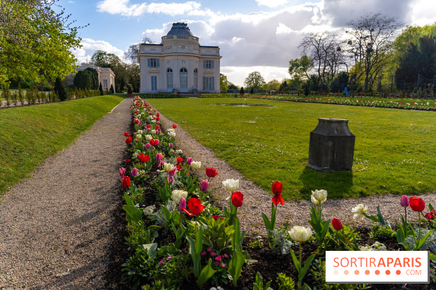 Le Parc de Bagatelle au printemps, cerisier, tulipes et jonquilles - photos