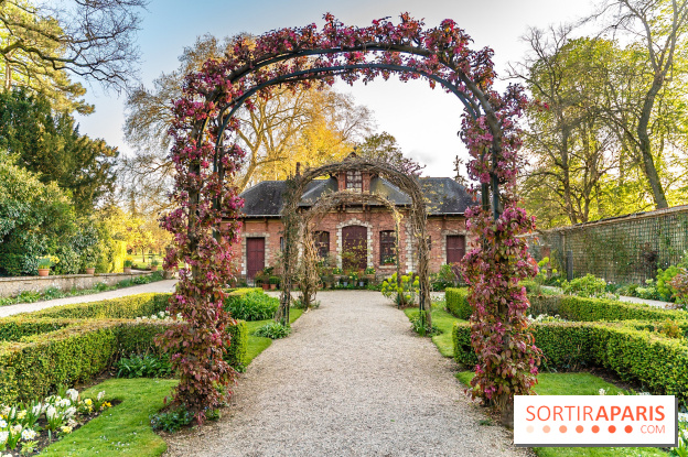 Le Parc de Bagatelle au printemps, cerisier, tulipes et jonquilles - photos - A7C00854