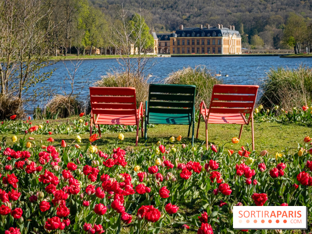 Les tulipes du Château de Dampierre, son jardin anglais et le jardin Le Nôtre