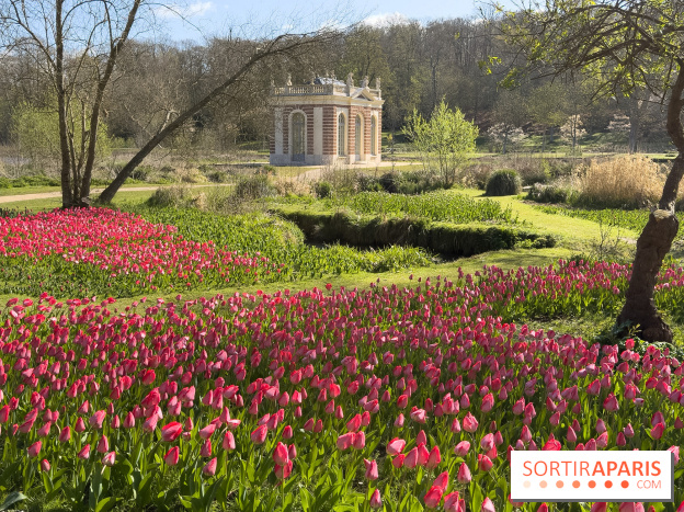Les tulipes du Château de Dampierre, son jardin anglais et le jardin Le Nôtre