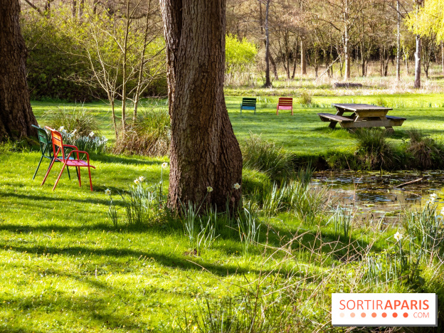 Les tulipes du Château de Dampierre, son jardin anglais et le jardin Le Nôtre - IMG 2938