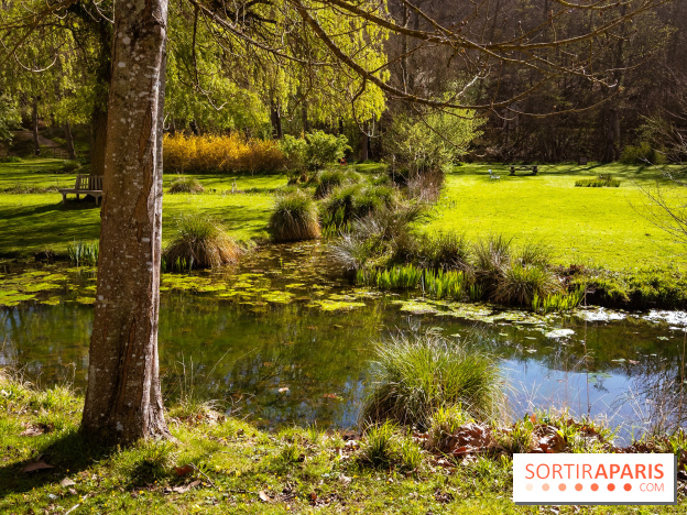 Les tulipes du Château de Dampierre, son jardin anglais et le jardin Le Nôtre - IMG 2953