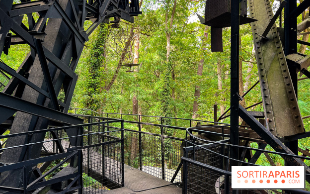 Le Cyclop, le géant d’acier caché dans les bois de Milly-la-Forêt - IMG 5951