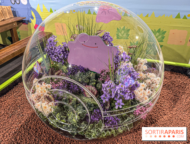 Pokémon Pokopia : un espace détente gratuit pour vous immerger dans le jeu aux Ateliers Gaîté - IMG 5806