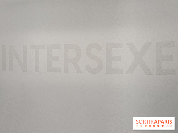 Benoît Piéron au Palais de Tokyo : une exposition sur le soin et la vulnérabilité - IMG 5880