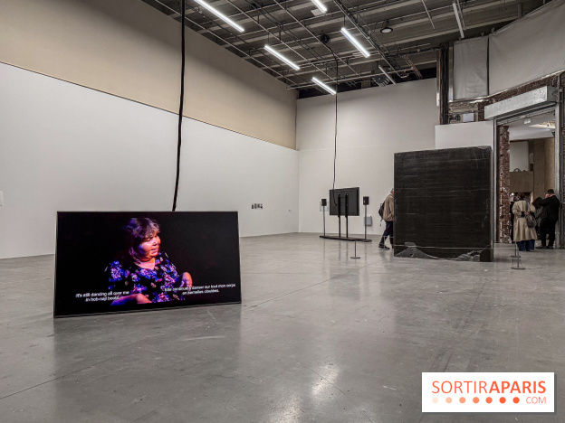 Au Palais de Tokyo, Cheryl Marie Wade explore la culture crip et la poésie engagée - IMG 5955