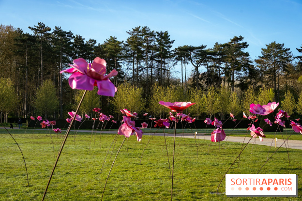 Hanami au Parc de Sceaux 2026, les cerisiers en fleurs et ses  animations