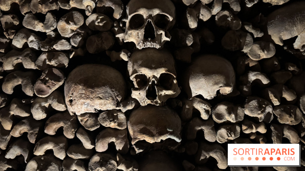 Les Catacombes de Paris 2026 - IMG 3686