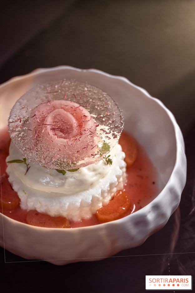 Rivages restaurent de la mer du Scribe Opéra Paris 9e, les photos - rhubarbe