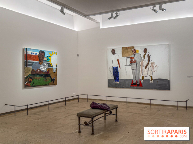 Exposition Henry Taylor au Musée Picasso - IMG 6149