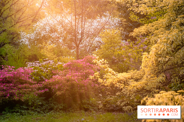 Château de Courson et son domaine : Parc Botanique et Jardin Remarquable en Région Parisienne  - A7C02951 Edit