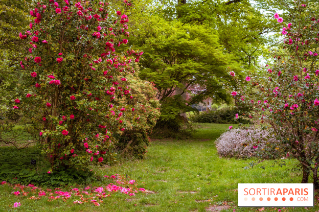 Château de Courson et son domaine : Parc Botanique et Jardin Remarquable en Région Parisienne  - A7C02940 HDR