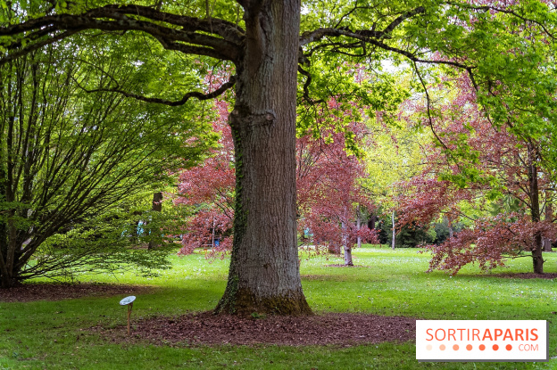 Le Château de Buc et son superbe domaine, parc paysagé aux nombreux trésors - A7C03176
