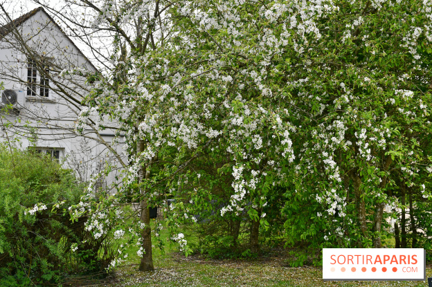 Le domaine de Bellevue, une belle escapade romantique en Seine-et-Marne - DSC 6526