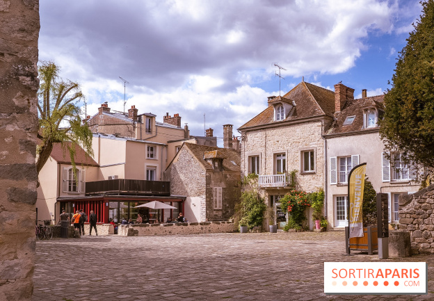 Château Musées de Nemours en Seine-et-Marne - photos - A7C04866
