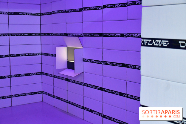 Illumination : l'art numérique coréen s'expose gratuitement aux portes de Paris - DSC 6722