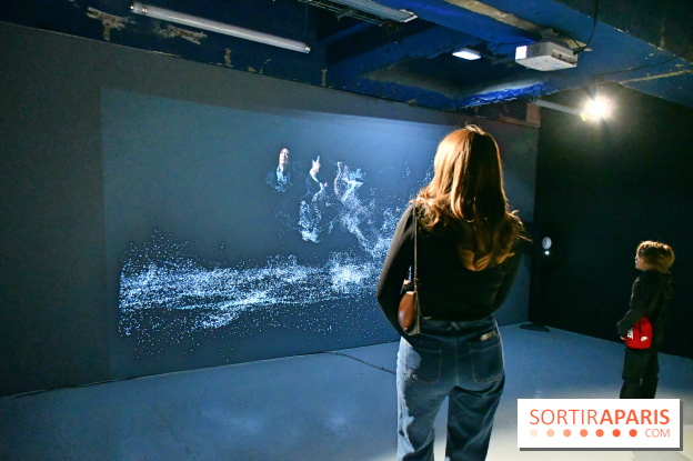 Illumination : l'art numérique coréen s'expose gratuitement aux portes de Paris - DSC 6729