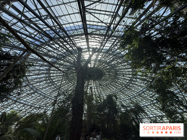 ZooParc de Beauval et Hôtel Les Pagodes de Beauval - IMG 5633