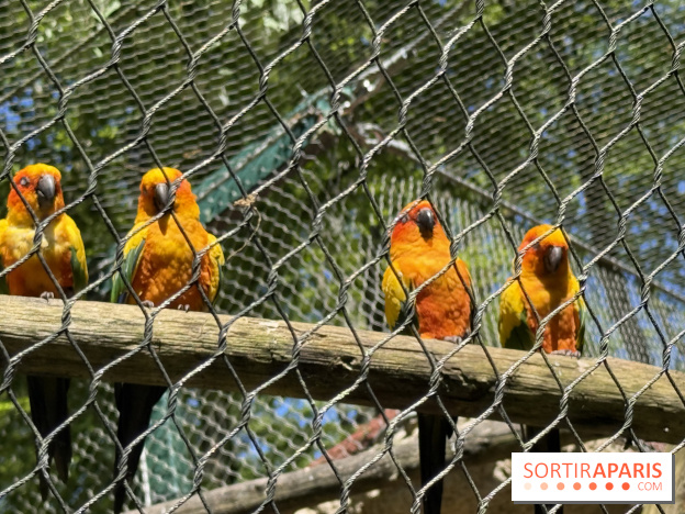 ZooParc de Beauval et Hôtel Les Pagodes de Beauval - IMG 5670