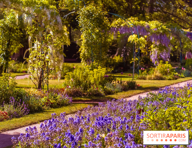 Le Parc des Ibis au Vésinet dans les Yvelines en Région Parisienne - photos  - A7200696