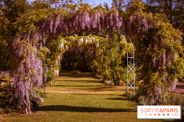 Le Parc des Ibis au Vésinet dans les Yvelines en Région Parisienne - photos  - A7200561