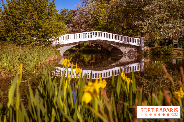 Le Parc des Ibis au Vésinet dans les Yvelines en Région Parisienne - photos  - A7200413