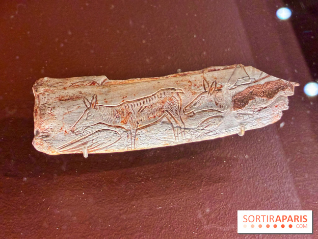 Préhistoire, entre utopie et réalité  - IMG 5569