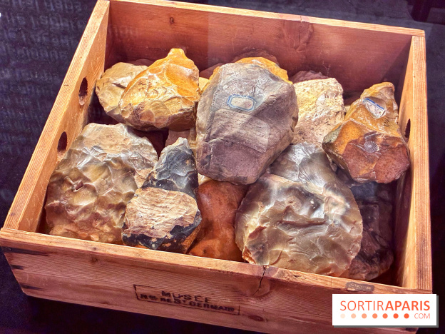 Préhistoire, entre utopie et réalité  - IMG 5589