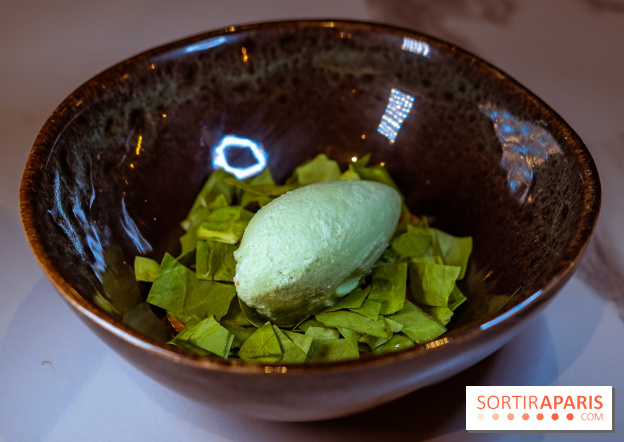 L'Orée des Sablons, restaurant à Fontainebleau - photos - dessert oseille cacahuète