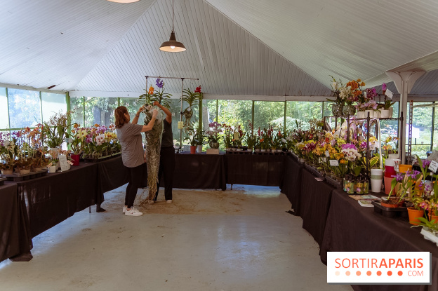 Fête des Plantes au Château de Dampierre dans les Yvelines - photos