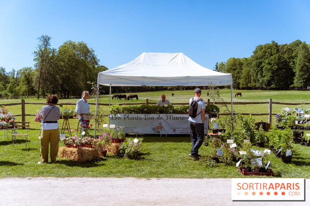 Fête des Plantes au Château de Dampierre dans les Yvelines - photos
