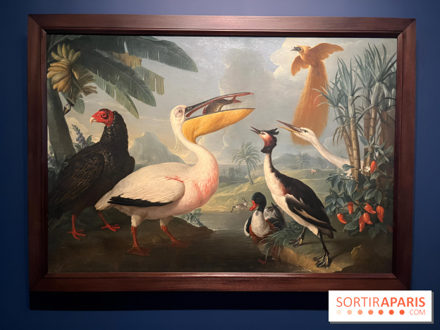 Plumes de Paradis, l'expo au musée du Quai Branly - nos photos