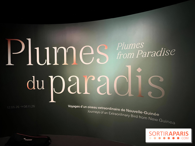 Plumes de Paradis, l'expo au musée du Quai Branly - nos photos