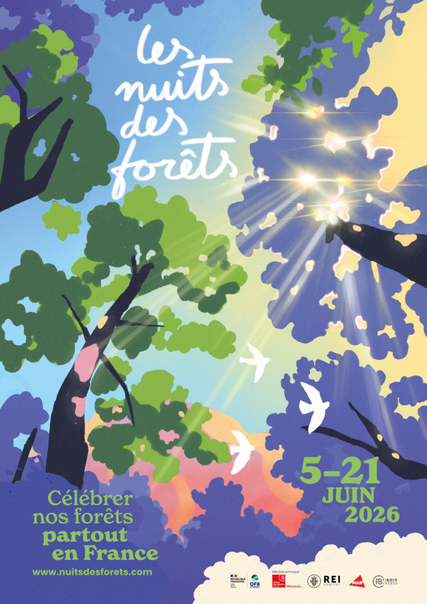 Les Nuits des Forêts 2026 : 17 jours pour écouter le vivant en Île-de-France