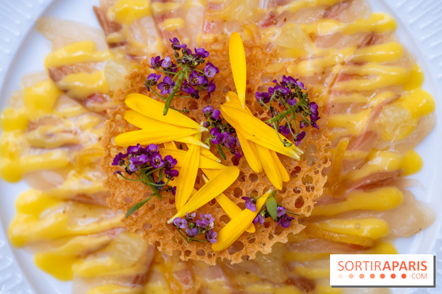 La terrasse jardin du Sax Hotel avec piscine - lcarpaccio de sériole