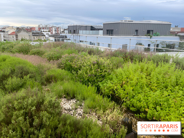 L'aromathèque Persépolis, sur le toit de la bourse du travail à Saint-Denis - nos photos