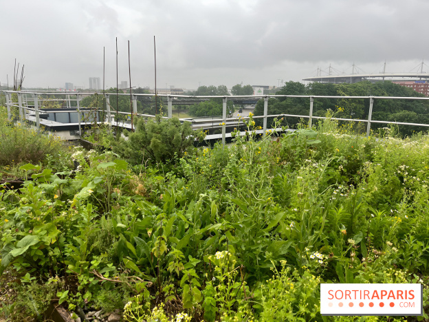 L'aromathèque Persépolis, sur le toit de la bourse du travail à Saint-Denis - nos photos