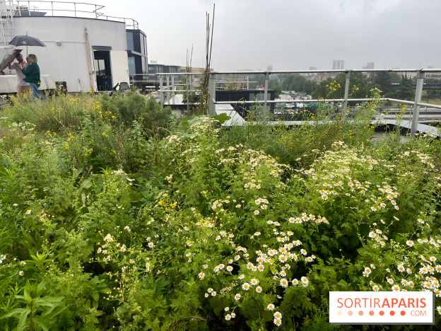 L'aromathèque Persépolis, sur le toit de la bourse du travail à Saint-Denis - nos photos