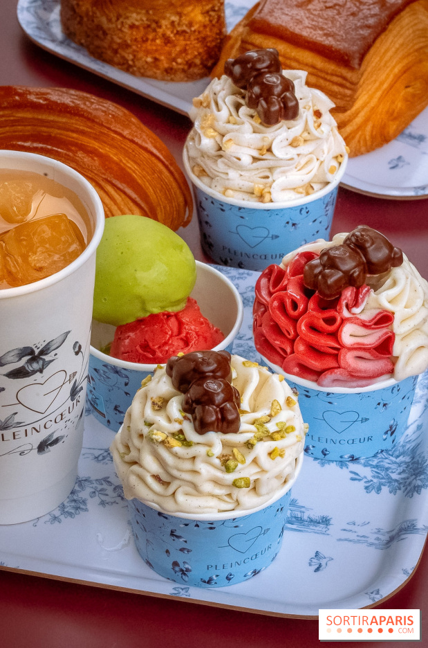Le comptoir à glaces de Pleincœur et ses coupes glacées - photos