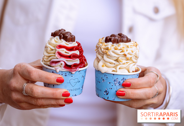 Le comptoir à glaces de Pleincœur et ses coupes glacées - photos