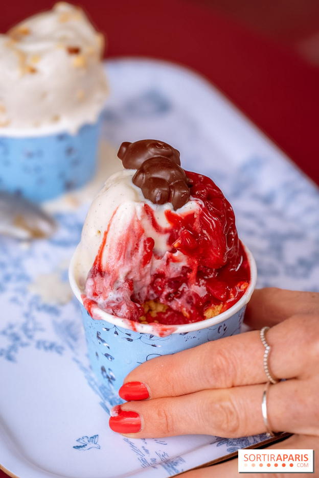 Le comptoir à glaces de Pleincœur et ses coupes glacées - photos